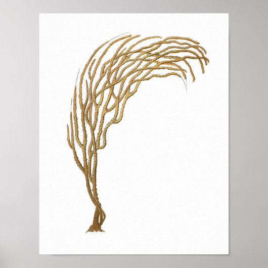 シーコーラルNo.3アンティーク自然史プリント ポスター (正面)