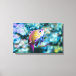 シーゴルディ キャンバスプリント