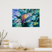 シーゴーダイカラフルかわいい魚 ポスター (キッチン)