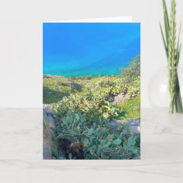 シーサイドサボスナフプリオンギリシャ カード