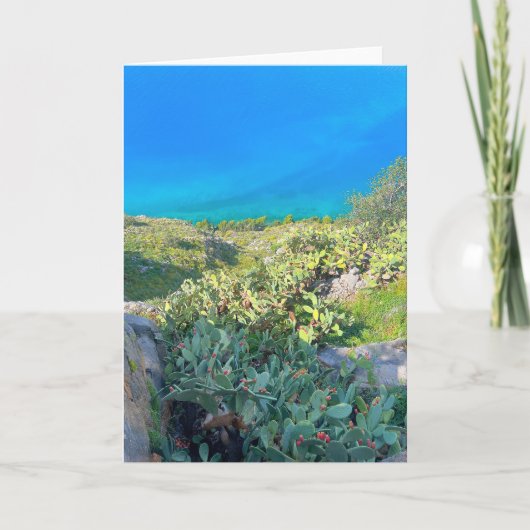 シーサイドサボスナフプリオンギリシャ カード (正面)