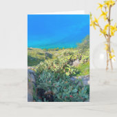 シーサイドサボスナフプリオンギリシャ カード (黄色い花)