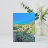 シーサイドサボスナフプリオンギリシャ ポストカード (スタンド正面)