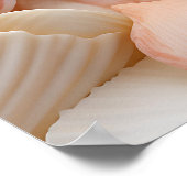 シーサイドシーシェルズアートポスター ポスター (角)