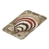 シーサイドソネットII マグネット (左側)