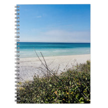 シーサイドビーチ