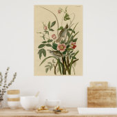 シーサイドフィンチ ポスター (キッチン)