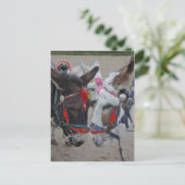 シーサイドロバのポストカード ポストカード (スタンド正面)