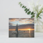 シーサンセット ポストカード (スタンド正面)