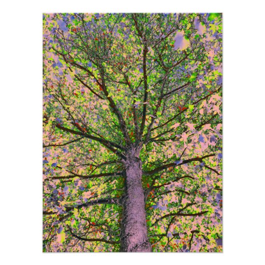 シーザーサラダ15 フォトプリント            (正面)