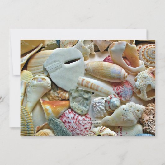 シーシかわいらしェルズハッピーリタイオメントパーティの招待状 招待状 (裏面)