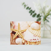 シーシかわいらしェル ポストカード (スタンド正面)