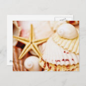 シーシかわいらしェル ポストカード (正面/裏面)