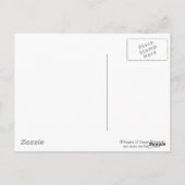 シーシかわいらしェル ポストカード (裏面)