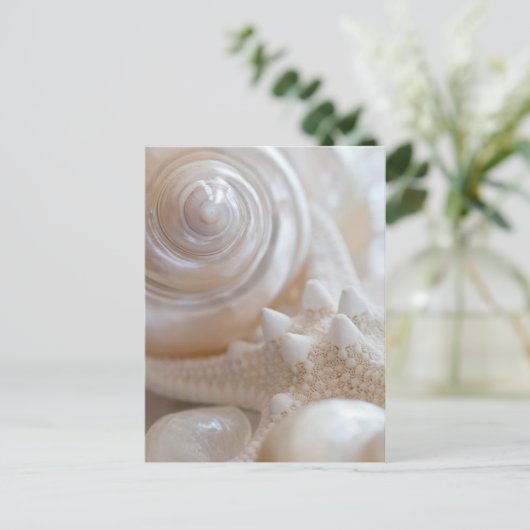 シーシェルとヒトデの背景 – ビーチシェル ポストカード (スタンド正面)