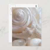 シーシェルとヒトデの背景 – ビーチシェル ポストカード (正面/裏面)