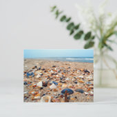 シーシェルのビーチポストカード ポストカード (スタンド正面)