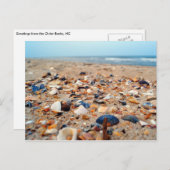 シーシェルのビーチポストカード ポストカード (正面/裏面)