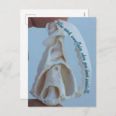 シーシェルの休日はがき シーズンポストカード (正面/裏面)