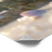 シーシェルアットザビーチ ポスター (角)