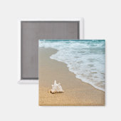 シーシェルアットザビーチ マグネット (正面/裏面)