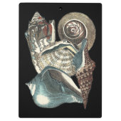 シーシェルアンソロジー クリップボード (裏面)