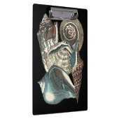 シーシェルアンソロジー クリップボード (右)