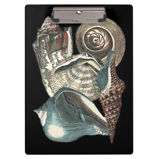 シーシェルアンソロジー クリップボード (正面)