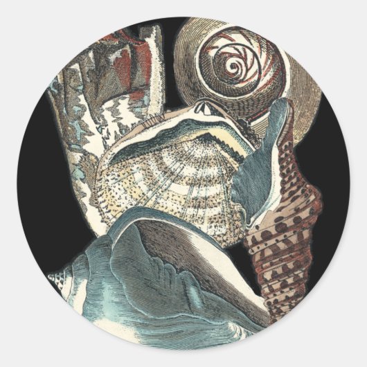 シーシェルアンソロジー ラウンドシール (正面)