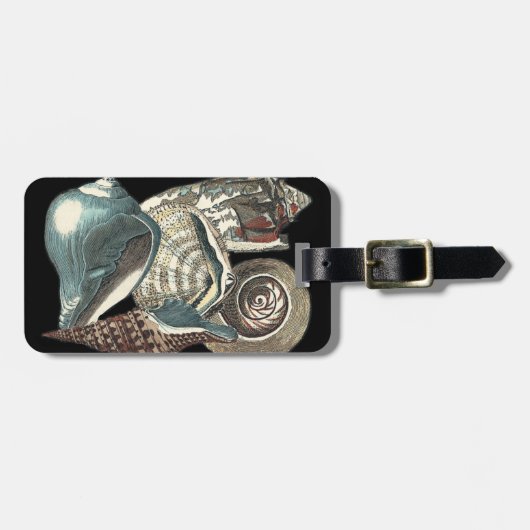 シーシェルアンソロジー ラゲッジタグ (正面横)