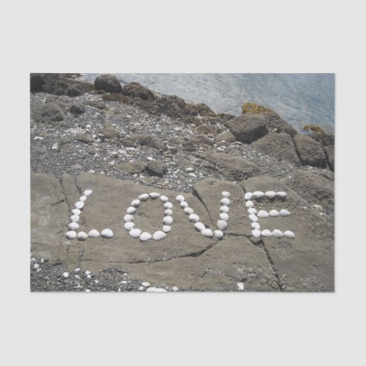 シーシェルアートオンビーチ 薄葉紙 (正面)