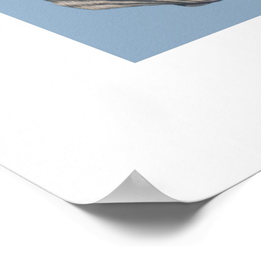 シーシェルアートプリント ポスター (角)