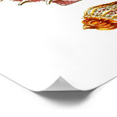 シーシェルアートプリントno.10ビーチウォールデコール ポスター (角)