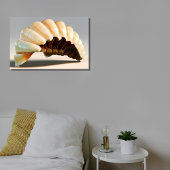 シーシェルウォールアートエステティック海デコール メタルプリント