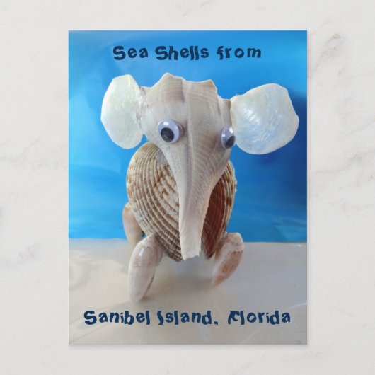 シーシェルエレファントクラフトアニマルサニベルアイランドFL ポストカード (正面)