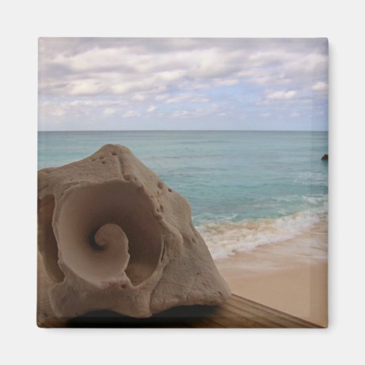 シーシェルオンビーチ写真 マグネット (正面)