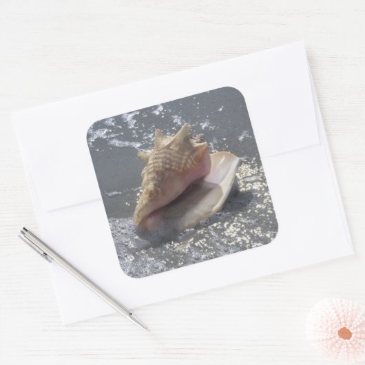 シーシェルオンビーチ |サニベル島(フロリダ州) スクエアシール (封筒)