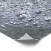 シーシェルオンビーチ |サニベル島（フロリダ州） ポスター (角)