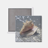 シーシェルオンビーチ |サニベル島（フロリダ州） マグネット (正面/裏面)