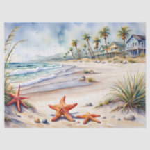 シーシェルオンビーチ