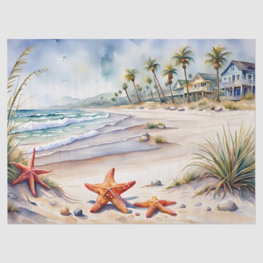 シーシェルオンビーチ 薄葉紙 (正面)