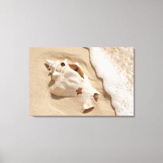 シーシェルオンビーチ | Grand Turk カリブの Island キャンバスプリント (正面)