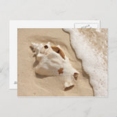 シーシェルオンビーチ | Grand Turk カリブの Island ポストカード (正面/裏面)