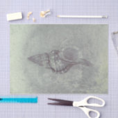 シーシェルグレーヴィンテージ海ビーチテクスチャ 薄葉紙 (クラフト)