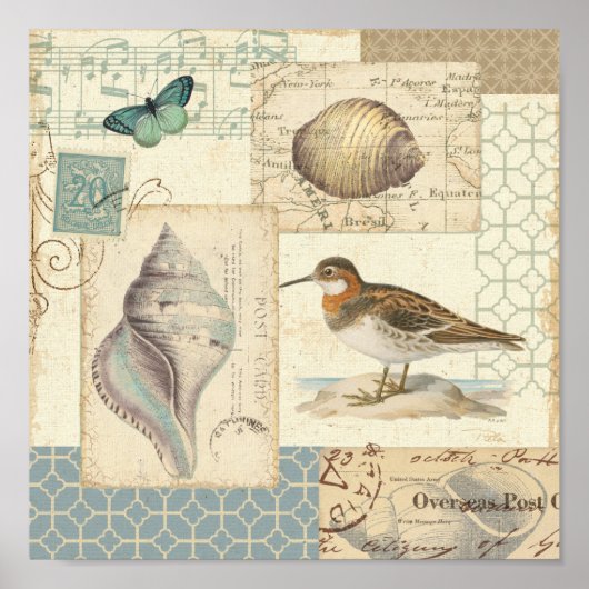 シーシェルコラージュ ポスター (正面)