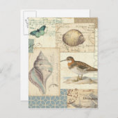 シーシェルコラージュ ポストカード (正面/裏面)