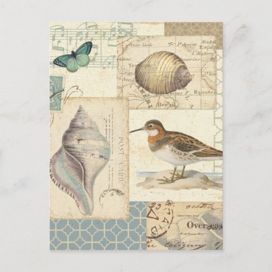 シーシェルコラージュ ポストカード (正面)