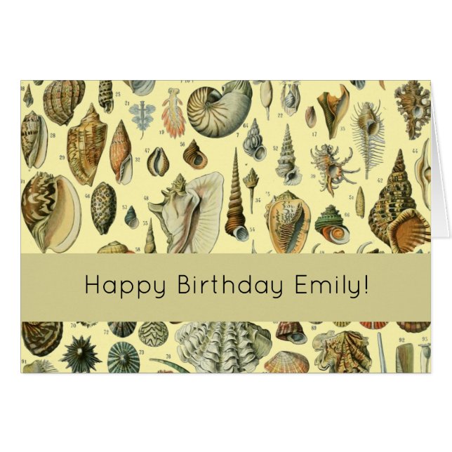 シーシェルシェルモルルスククラムエレガントクラシックアート (正面横)