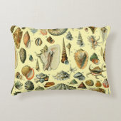 シーシェルシェルモルルスククラムエレガントクラシックアート アクセントクッション (正面)