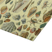 シーシェルシェルモルルスククラムエレガントクラシックアート カッティングボード (角)